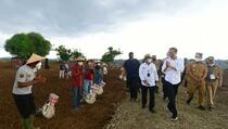 Ini Alasan Petani Ingin Jokowi Tetap Memimpin