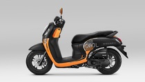 New Honda Scoopy Hadir dengan Warna dan Stripe Baru