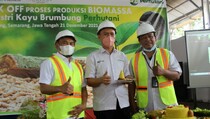 Kick Off Produksi Biomassa, Perhutani Tingkatkan Pendapatan di Sektor Usaha Baru