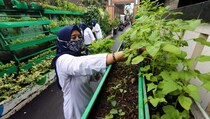 Unilever dan Lazada Ajak Konsumen Belanja Produk yang Baik bagi Lingkungan