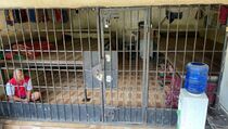 Soal Kerangkeng di Rumah Bupati Langkat, Ini Respons Migrant Care