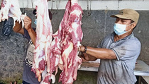 Kenaikan Harga Daging Dipicu oleh Harga Pakan Sapi