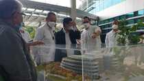PUPR Jadikan BSD City Inspirasi Pengembangan IKN Nusantara