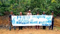 Tolak Pemilu Mahal, Petani Kopi Lampung: Perhatikan Juga Rakyat Kecil