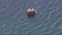 Turki Temukan Benda Mirip Ranjau di Laut Hitam