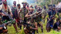 Politikus PKS: Saatnya TNI-Polri Memburu KKB Papua