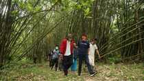 Ganjar Diusulkan Jadi Nama Bukit Hutan Bambu di Bali