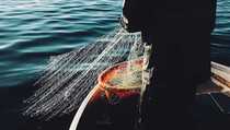 Siap IPO, Cilacap Samudera Fishing Industry Incar Dana hingga Rp 156 M
