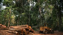 Brasil Kehilangan Hutan Azmazon Seluas 140.000 Lapangan Bola