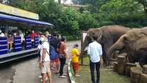 TSI Bogor Gelar Safari Malam 7 Hari Berturut Selama Libur Lebaran