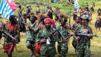 Sopir Truk Hilang di Puncak Papua, Diduga Korban KKB