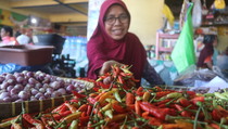 DPR Minta Pemerintah Siapkan Langkah Nyata Hadapi Krisis Pangan