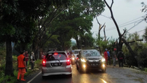 Pohon Tumbang Buat Jalur Puncak Cianjur Menuju Puncak Macet