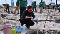 Puan Pimpin Penghijauan Lahan Eks Tambang di Bangka Belitung