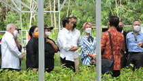 Jokowi Teken PP Kemudahan Berusaha di IKN Nusantara
