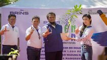 BRINS Gelar Aksi Tanam 1.000 Bibit Mangrove Dukung Ekosistem Berkelanjutan