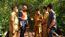 Hari Mangrove Sedunia, SSB Luncurkan Program CSR Saya Sayang Bumi