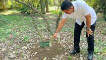 Polisi Pastikan Selidiki Pohon Koka di Kebun Raya Bogor