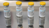 Cacar Monyet, Kanada Distribusikan 99.000 Dosis Vaksin Imvamune