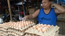 Harga Telur di Lampung Tembus Rp 30.000 Per Kilogram
