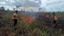 BNPB Laporkan 7,5 Hektare Lahan di Kalteng Terbakar