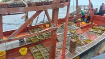 Lakukan Kegiatan Ilegal di Laut Aru, 3 Kapal Ikan Ditangkap KKP