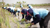 BPS Minta Petani Jawab Jujur Saat Sensus Pertanian 2023