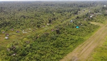 Kapolda Papua Perintahkan Tindak Tegas KKB yang Serang 5 Pekerja Tambang Emas hingga Tewas