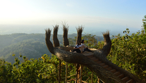 Jelajah Hutan Pinus Mangunan Dlingo, Wisata Andalan Yogyakarta