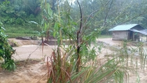 Banjir di Lampung Barat Rendam Dua Desa