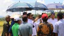 Gelar Panen Raya Padi di Kolaka Timur, Ini Kata Mentan