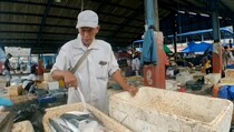 Cuaca Ekstrem, Harga Ikan di Tempat Pelelangan di Tangerang Naik 25%