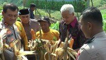 Ganjar Tanam 1.500 Pohon di Area Rawan Longsor-Banjir Bandang