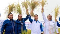 Dana Belum Cair, Target Surplus Beras Terancam