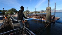 Kebakaran Lahan Terjadi saat Acara Karnaval Danau Toba