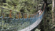 Balai Taman Nasional Gunung Halimun Catat Tiga Satwa Ikon