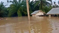 Banjir Rendam 263 Hektare Lahan Perkebunan di Aceh Utara