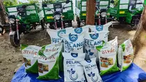 Gelontorkan Pupuk 11 Ton, PKT Kembangkan Perhutanan Sosial
