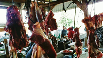 Jelang Ramadan, Harga Daging Sapi di Lampung Selatan Tembus Rp 150.000