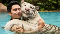 7 Harimau Mati, Alshad Ahmad Panen Cibiran Netizen