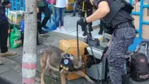Cegah Pengiriman Narkoba, Anjing Pelacak BNN Sisir Terminal Kampung Rambutan