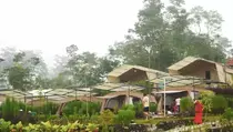 Wisata Glamping di Kaki Gunung Semeru, Cocok Dikunjungi saat Libur Lebaran