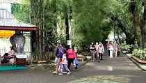 Hujan Tak Menyurutkan Niat Pengunjung Kebun Binatang Surabaya
