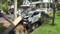 Hindari Motor, Mobil Tertimpa Pohon di Cikarang