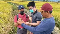 Taiwan Technical Mission Kenalkan Konsep Pertanian Cerdas ke Petani Sulsel