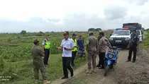 Demi Keselamatan, Angkasa Pura I Tertibkan Hewan Ternak di Area Bandara Lombok