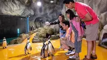 5 Tempat Liburan Seru di Ancol sebagai Referensi Wisata Akhir Pekan