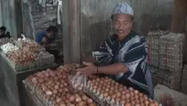 Harga Telur Terbang Tinggi, Stok Telur Pecah Diburu Pembeli