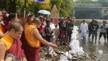 Umat Buddha Gelar Ritual Pelepasan Ikan di Progo