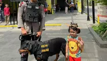 Anjing Pelacak Polres Cimahi Tarik Perhatian Wisatawan Lembang
